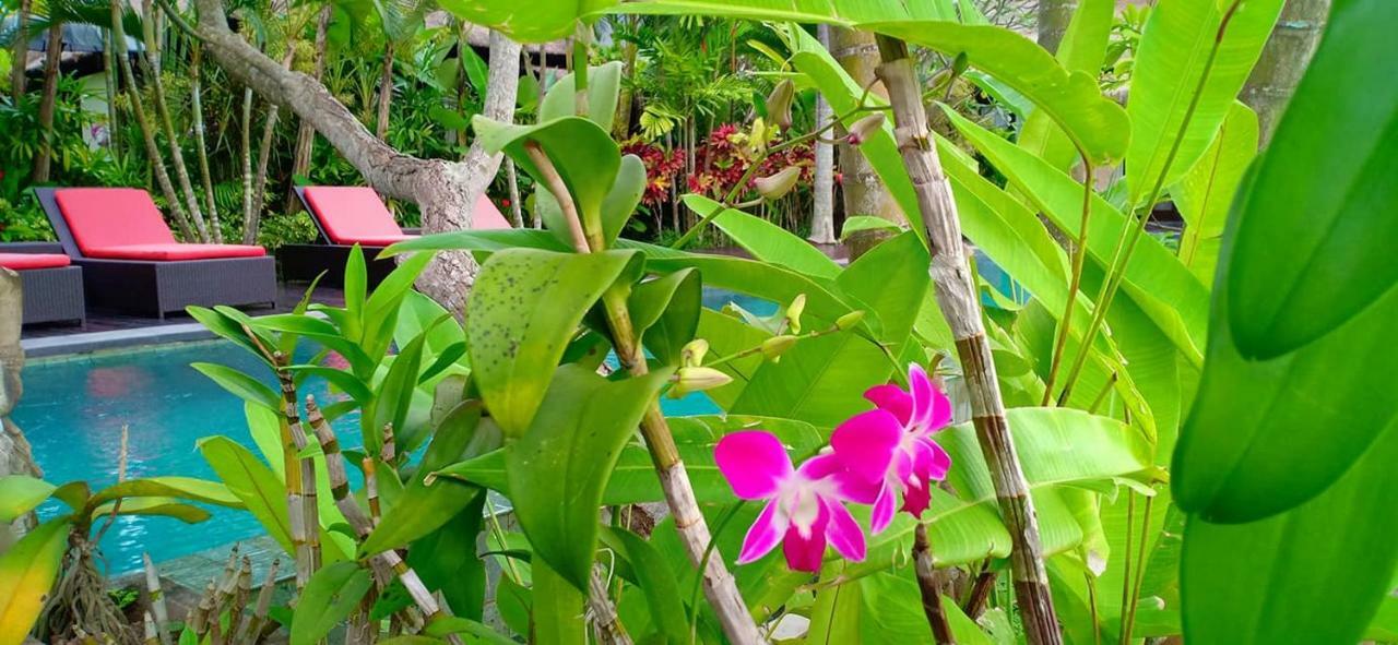 Bali Harmony Villa Убуд Екстериор снимка